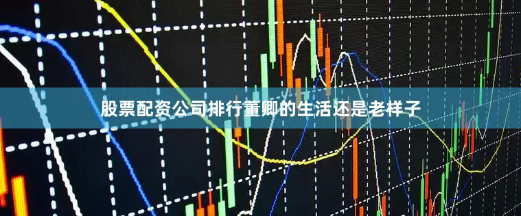 股票配资公司排行董卿的生活还是老样子