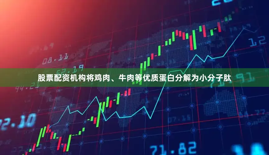 股票配资机构将鸡肉、牛肉等优质蛋白分解为小分子肽