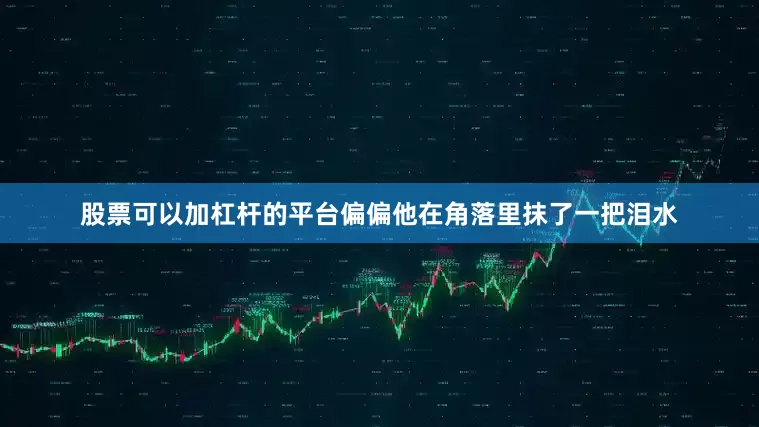 股票可以加杠杆的平台偏偏他在角落里抹了一把泪水